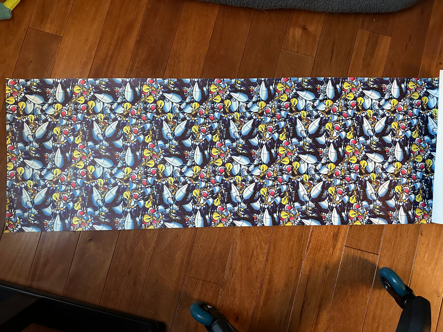 Bird and Cat vinyl remnant